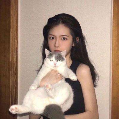 二战争锋2破解版下载